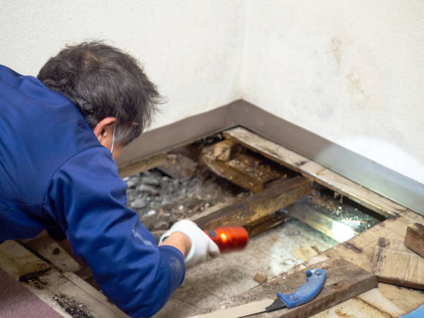 Best Water Damage Restoration  in Hillcrest, CA