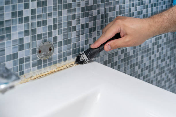 Best Mold Damage Repair  in Hillcrest, CA